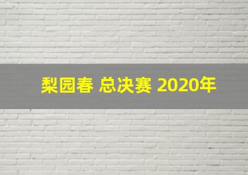 梨园春 总决赛 2020年